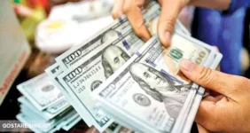 اتمام حجت فرزین با بازار ارز | دلار گران تر از این قیمت نمی شود