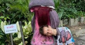 خالق اتریوم سرپرست اسب آبی مشهور اینترنت شد / عکس