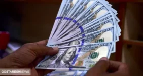 دولت درباره قیمت دلار به در بسته خورد (۱۱ دی)
