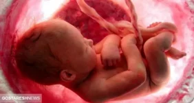 رحم اجاره‌ای ۹۰۰ میلیونی ! | دلالی غیر قانونی در کشور