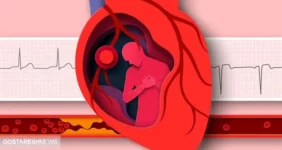 روزهای تعطیل برای قلب خوب نیستند!