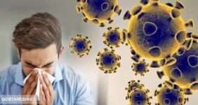 متاپنوموویروس انسانی و همه آنچه باید بدانید | علائم hmpv چیست؟