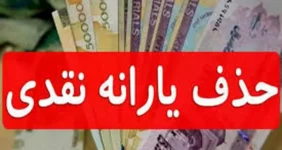 این افراد با یارانه خود خداحافظی کنند | خودروی شخصی باعث حذف یارانه می‌شود ؟
