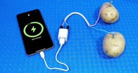 شارژ گوشی با سیب‌زمینی/ واقعیت یا عوام‌فریبی؟