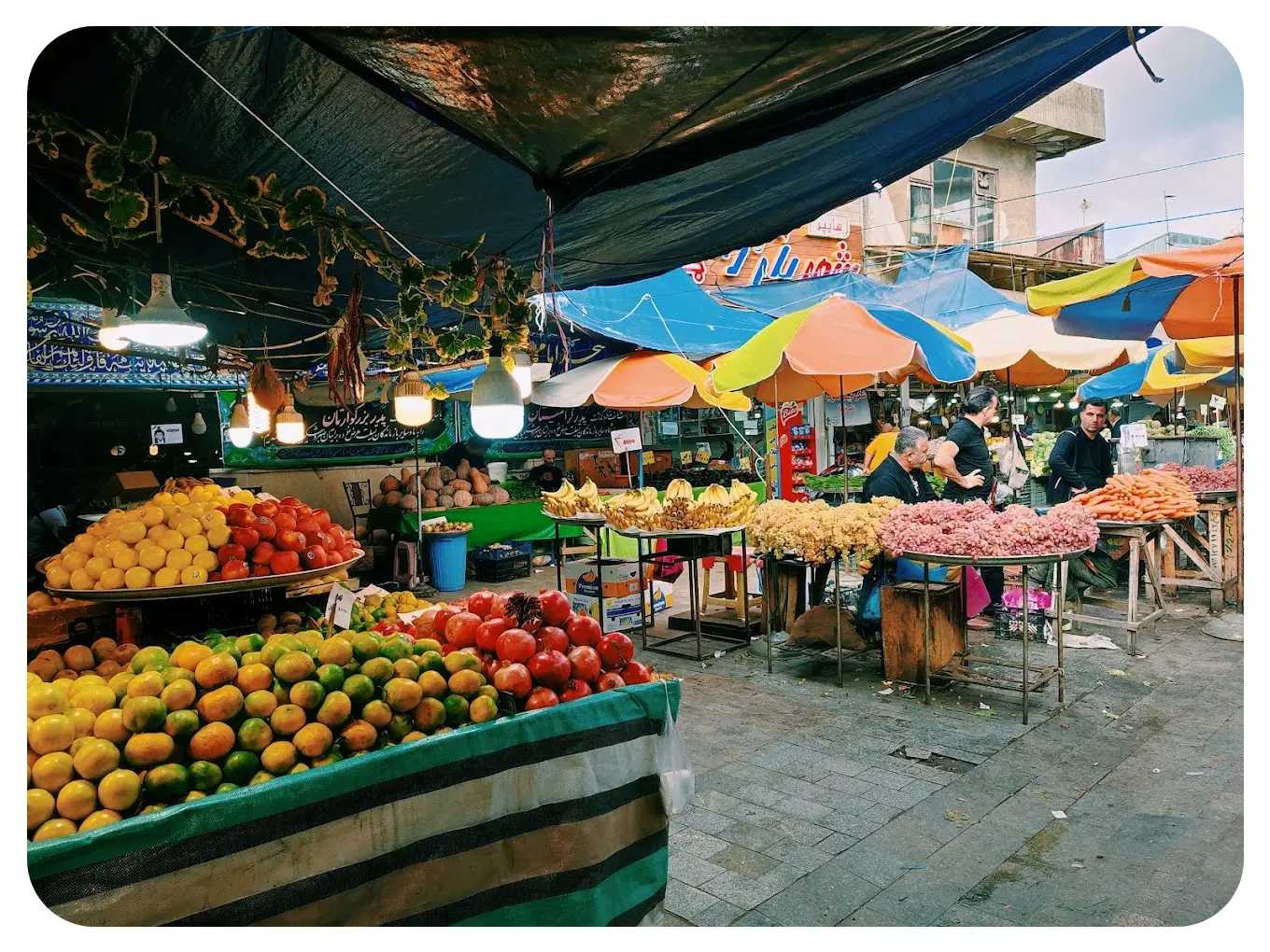 بهترین سایت گردشگری گیلان  با مجله گیلان کجا آشنا شوید