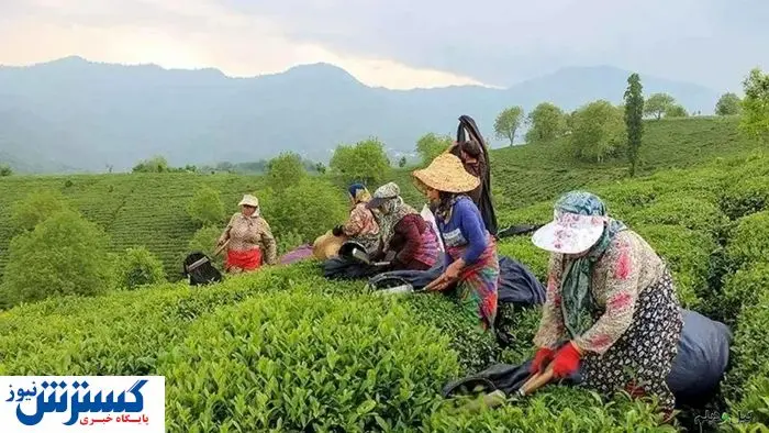 دولت به وعده‌اش عمل کرد | مطالبات پرداخت شد