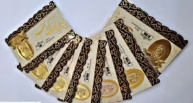 سکه پارسیان ۷۰۰ سوتی ۶ میلیون را رد کرد | سکه پارسیان بخریم یا ضرر است ؟