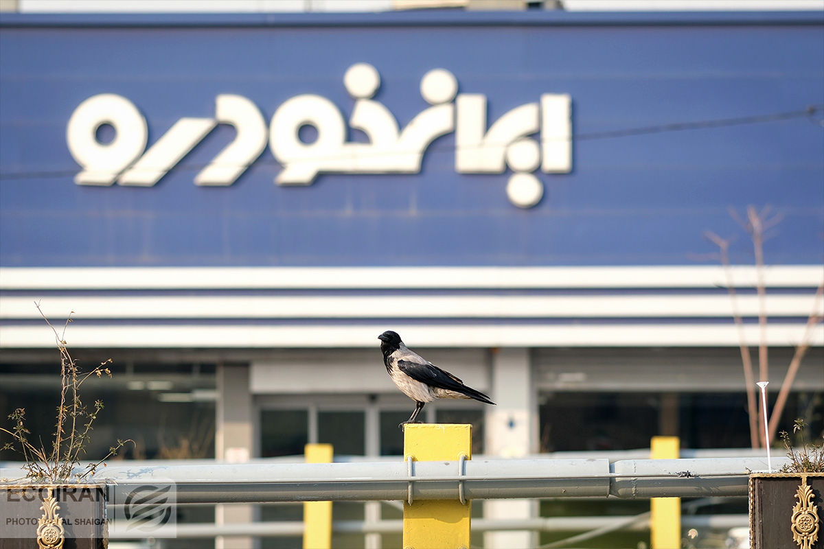 قیمت محصولات ایران خودرو امروز 21مهر 1404