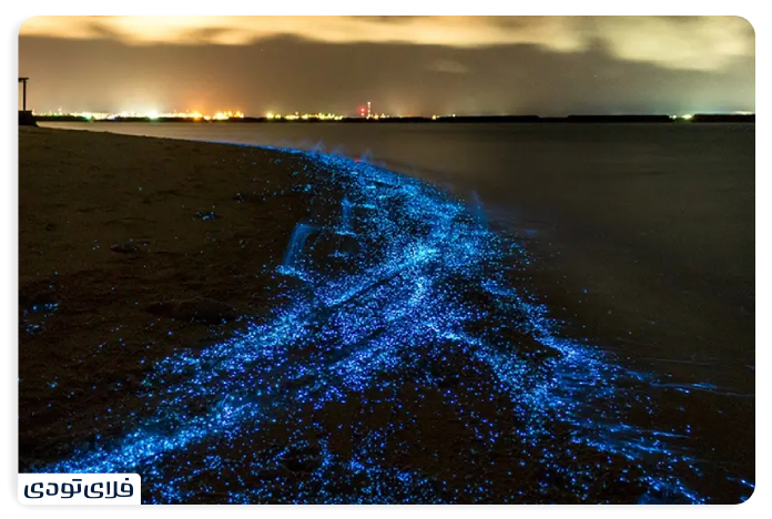 سواحل چابهار در شب