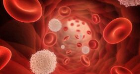 افت گلبول سفید خون، زنگ خطر سلامت بدن