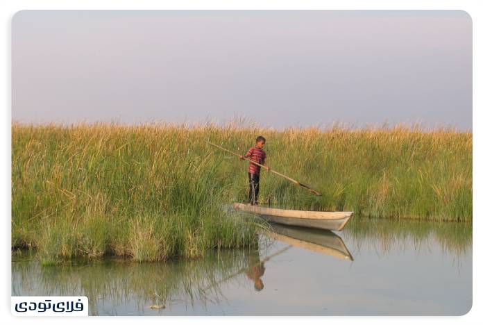 تالاب شادگان کجاست؟ | دانستنی های پیش از سفر