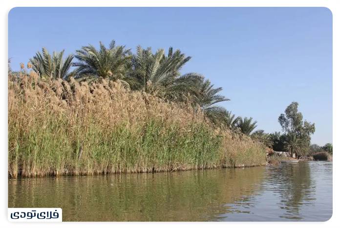 تالاب شادگان کجاست؟ | دانستنی های پیش از سفر