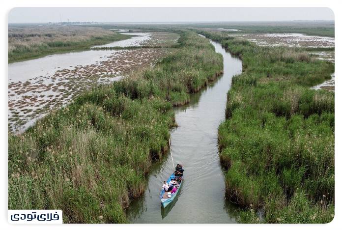 تالاب شادگان کجاست؟ | دانستنی های پیش از سفر
