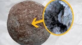 تخم دایناسور ۷۰ میلیون ساله/ جای بچه‌دایناسور، پر از بلور بود!