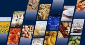 ثبت سفارش واردات 6 محصول کارخانجات صنایع غذایی باز شد