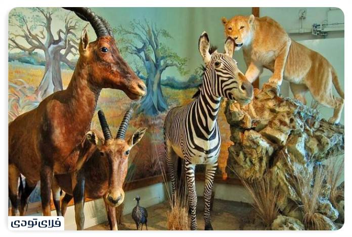 جاهای دیدنی بندرعباس | بزرگترین بندر ایران