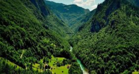 جلالی: جنگل‌های هیرکانی بخشی از هویت تاریخی و فرهنگی ایران هستند