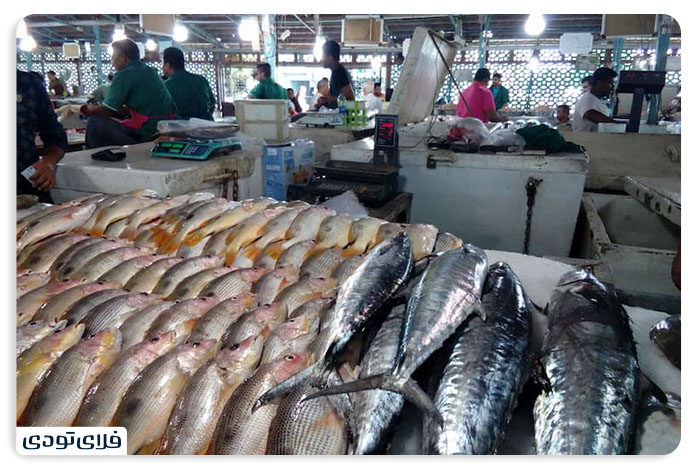 بازار ماهی فروشان بندر گناوه