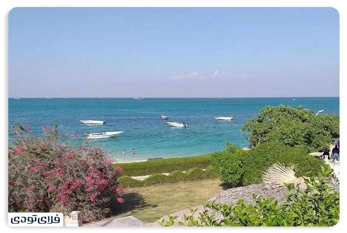 سفر به کیش پوشش گیاهی جزیره کیش