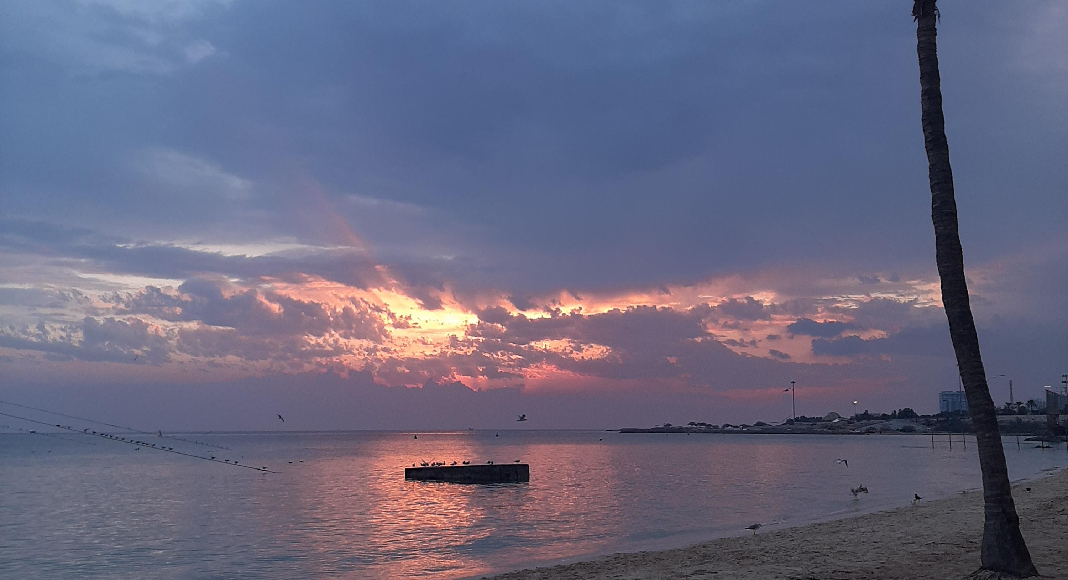 ساحل مرجان کیش | قدم زدن در ساحل خلیج فارس