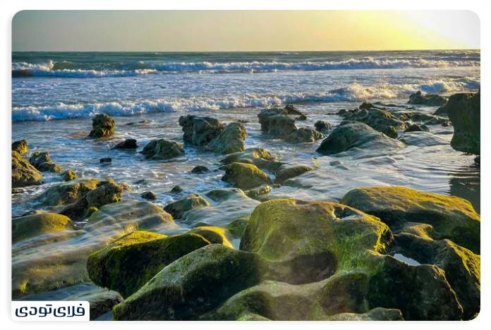 جاهای دیدنی ساحل مکسر