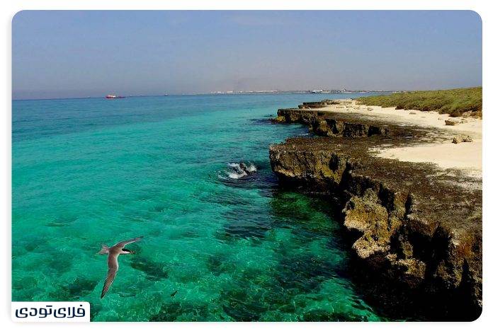 جنوب ساحل مکسر