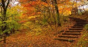 سفر پاییزی با خانواده؛ برنامه‌های خانوادگی و تفریحات پاییزی