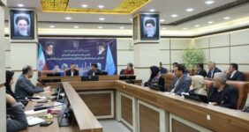 سلیمی: نقص نظارت در تسهیلات صنایع‌دستی باید جبران شود