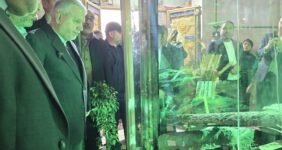 صالحی‌امیری: هتک حرمت حرم سبزقبا چهره واقعی دشمنان ایران را آشکار کرد