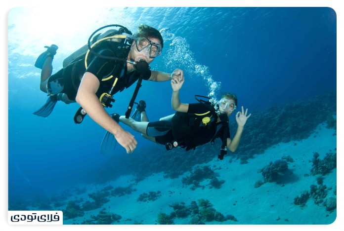 کلوپ دریایی نگین