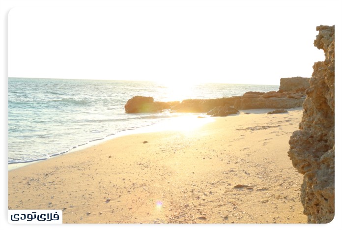 ساحل مرجان کیش