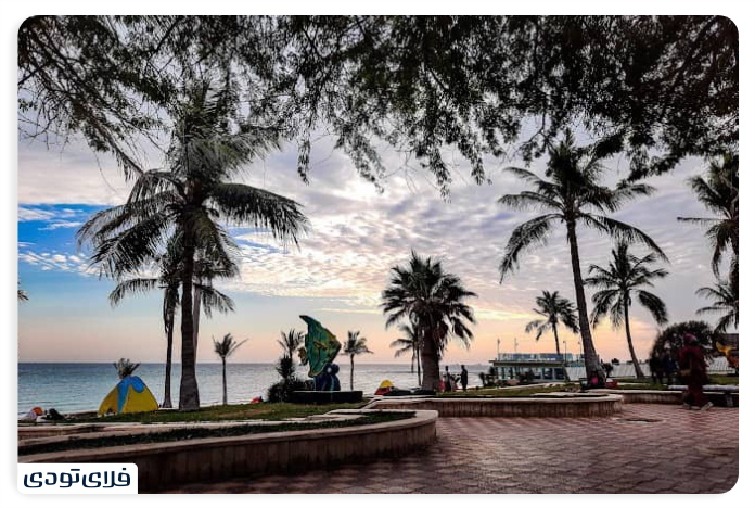 پارک زیتون کجاست؟