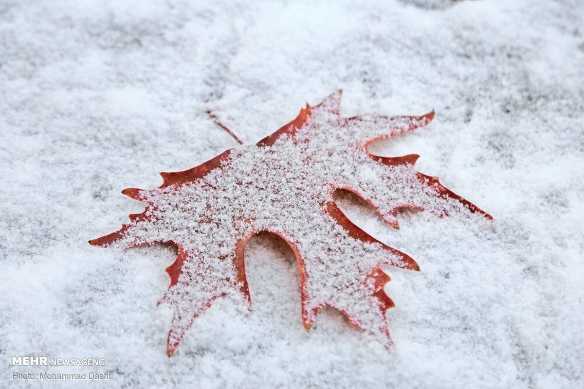 هشدار هواشناسی / برف و باران مردم را غافلگیر می‌کند