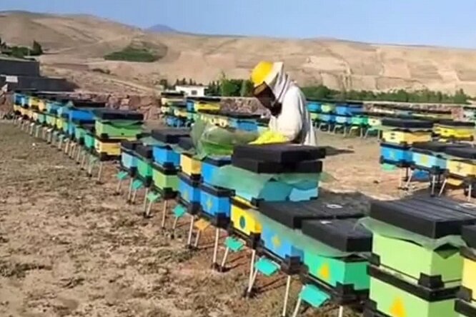 کلیبر و میراثی که هنوز زنده است کلیبر و میراثی که هنوز زنده است