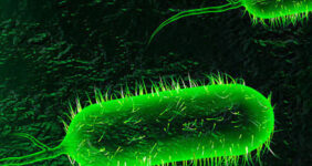 آخرین وضعیت بیماری وبا در ایران، منطقه و جهان اعلام شد