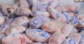 آغاز توزیع مرغ تنظیم بازاری با قیمت 132 هزار تومان