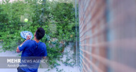 احداث ۴ زمین پدل در محله پرواز