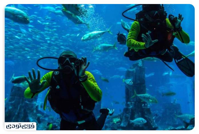 تفریحات دبی غواصی در دبی