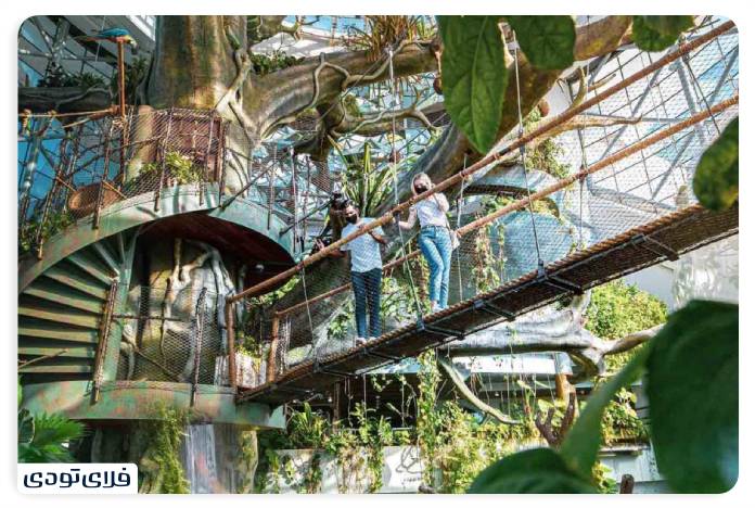 تفریحات دبی طبیعت گردی در دبی