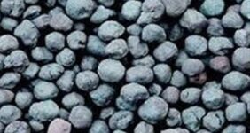 بزرگترین تامین مالی تاریخ بورس کالا فردا انجام می شود