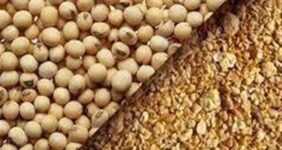 به‌روزرسانی قیمت کنجاله سویا و توقف ثبت سفارش‌های زمستانی