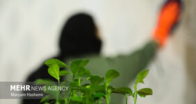 ترکیب مرگبار مواد شوینده در خانه‌تکانی