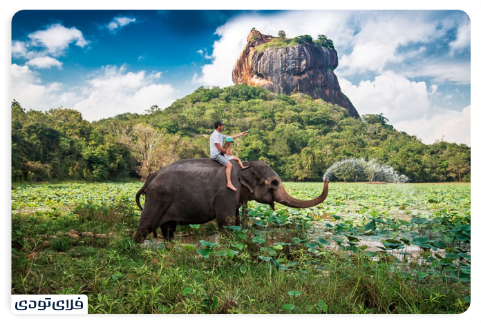 قلعه سیگیریا