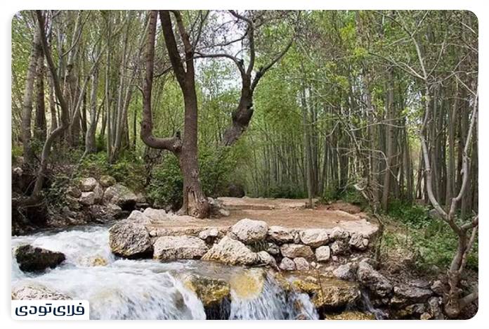 جاهای دیدنی چهارمحال و بختیاری آبشار پیر غار از جاهای دیدنی چهارمحال و بختیاری