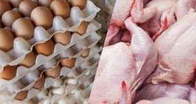 جزئیات کاهش قیمت مرغ، تخم مرغ و گوشت قرمز در بازار