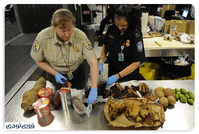 آیا مواد غذایی جزو بار مجاز هواپیما هستند؟