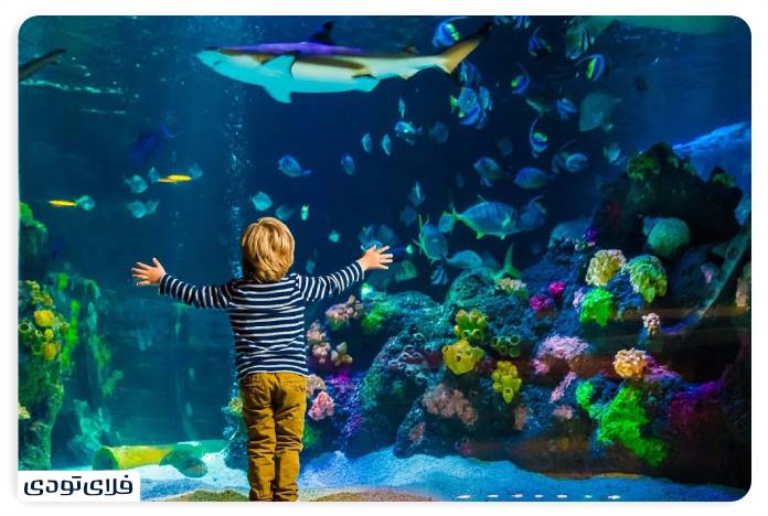 سفر به استانبول تفریحات استانبول