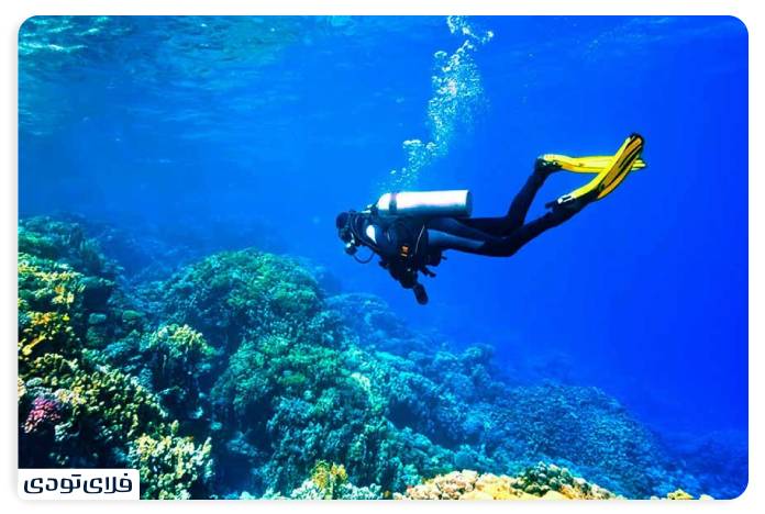 تفریحات جزیره لارک