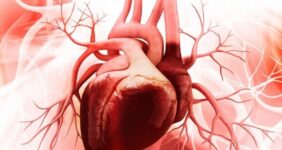 سلامت قلب افراد شب زنده دار در معرض خطر است