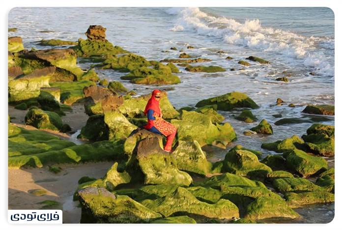 سواحل پارسیان هرمزگان | بکرترین سواحل جنوب ایران